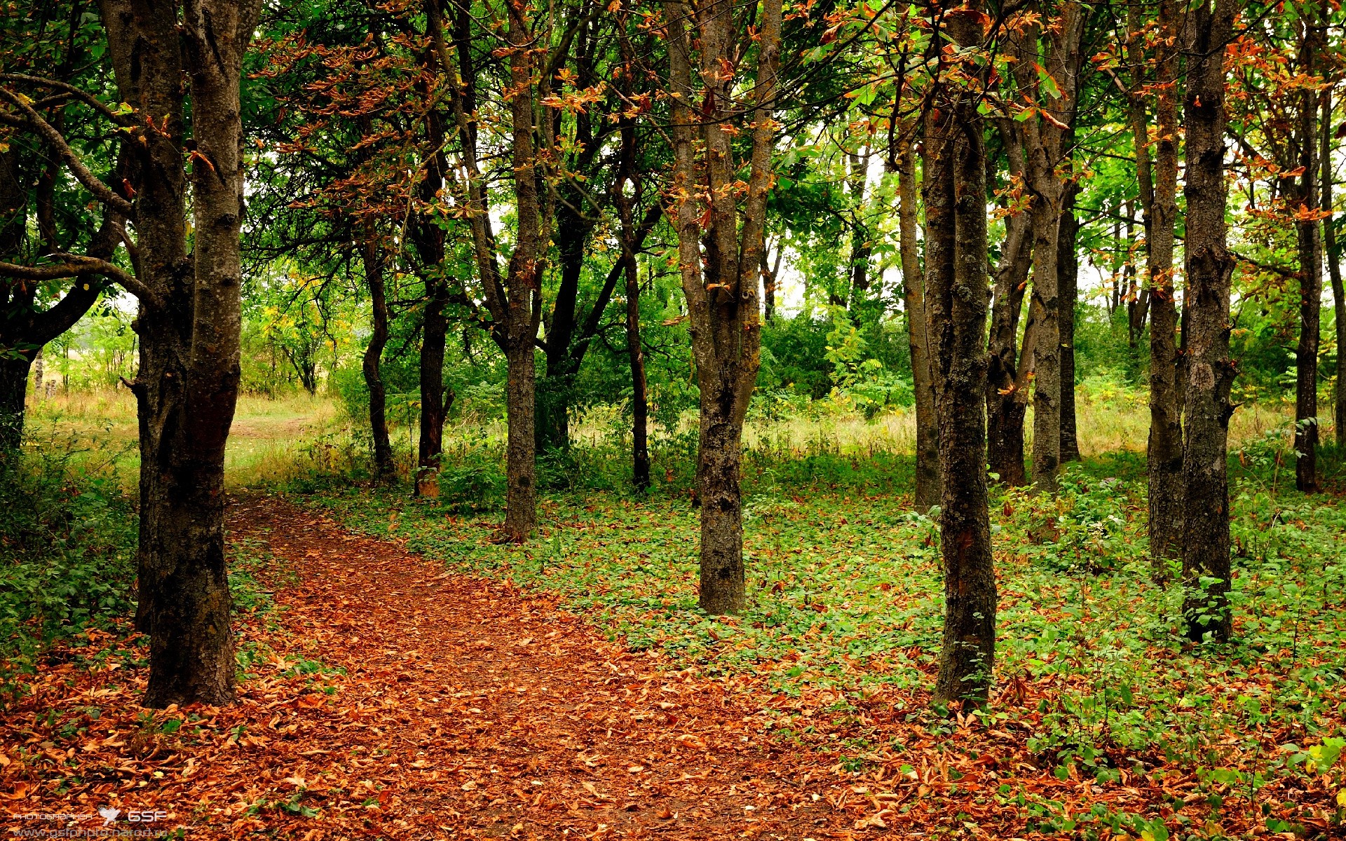 步行者铁壁封锁绿军,库里魔法点燃全场—现代篮球的双面启示