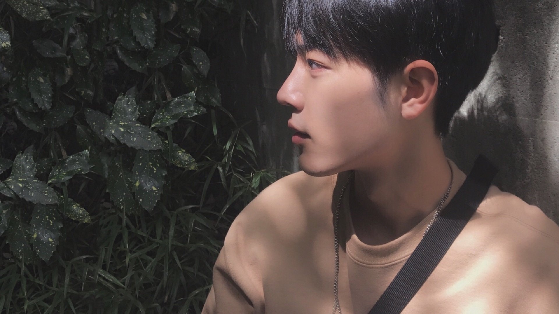 开云体育入口-同一天，亚平宁的狂想与辽宁的逆袭，体育如何用同一种心跳击穿地域的边界