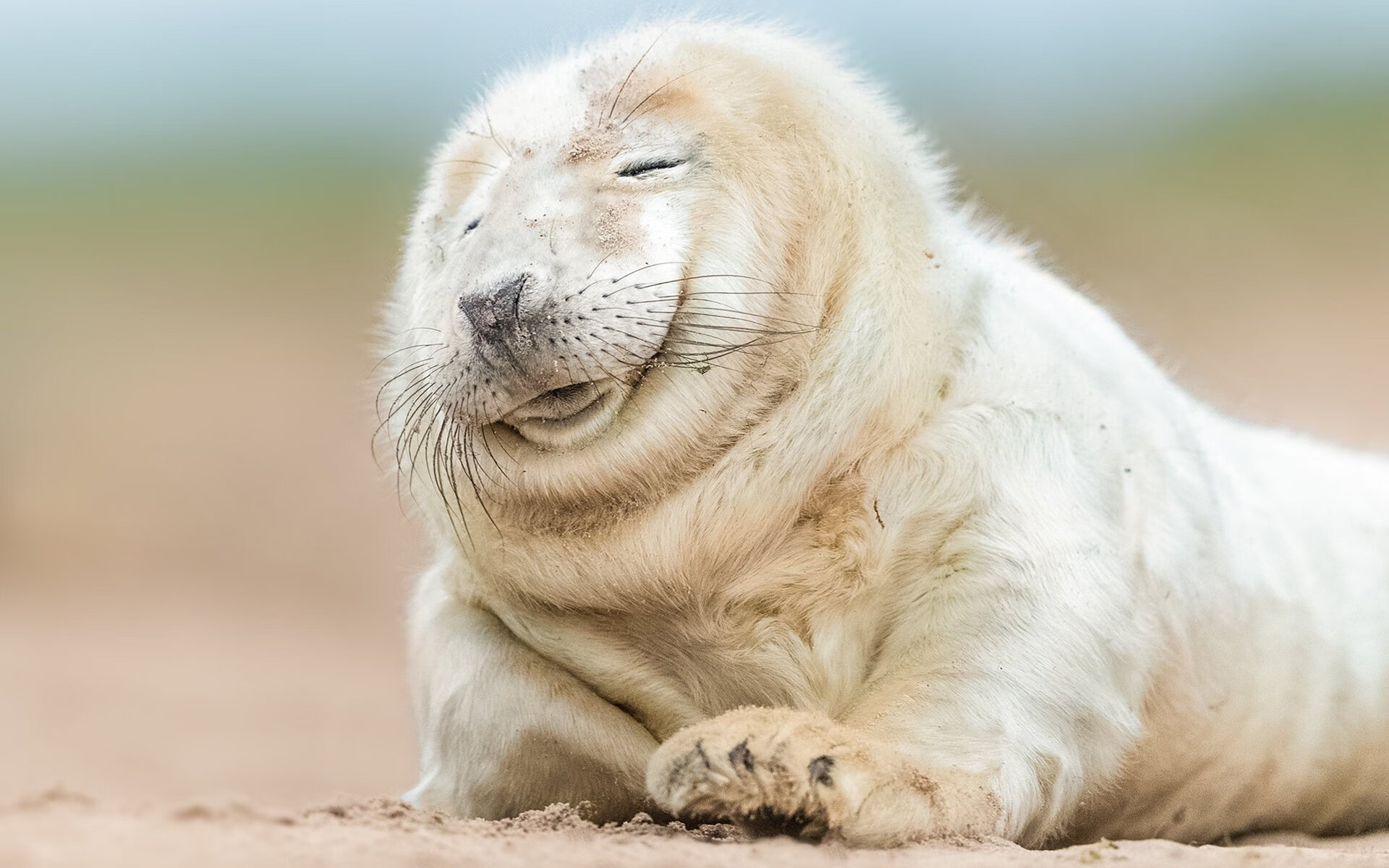 从强行终结到接管比赛，布伦森的蜕变之路