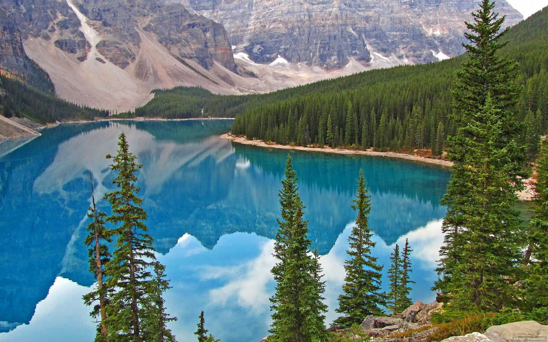 塞内加尔对阵苏格兰，一场坚韧对决，蒂亚戈诠释何为稳定输出不掉线