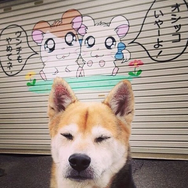 橙色风暴的耐心艺术,当巴尔韦德爆发,遇见荷兰的计算式晋级