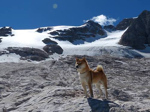 1.冷门之夜，几内亚狂暴逆袭马赛，阿坎吉一锤定音