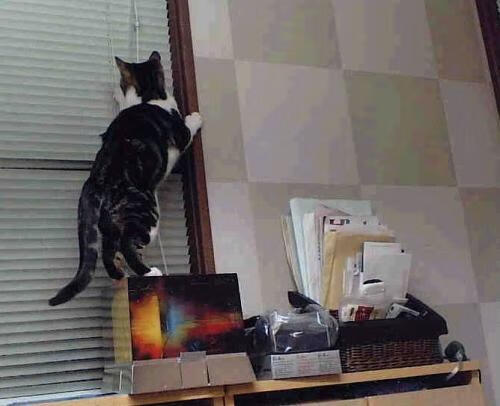 决战高原之巅,卡塞米罗如何用教科书级表现撕碎玻利维亚的魔鬼主场