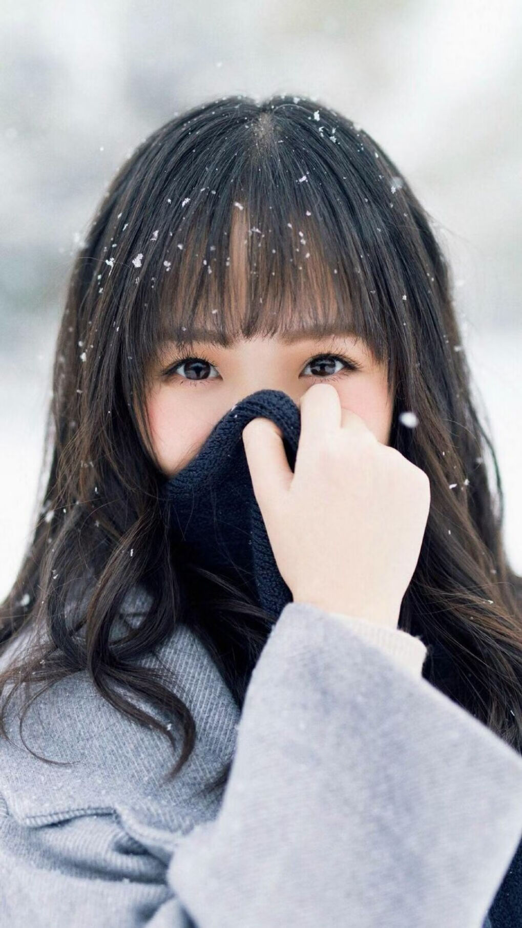 开云体育APP下载-当西决遇上多伦多，一场地理错误如何暴露篮球世界的傲慢与偏见