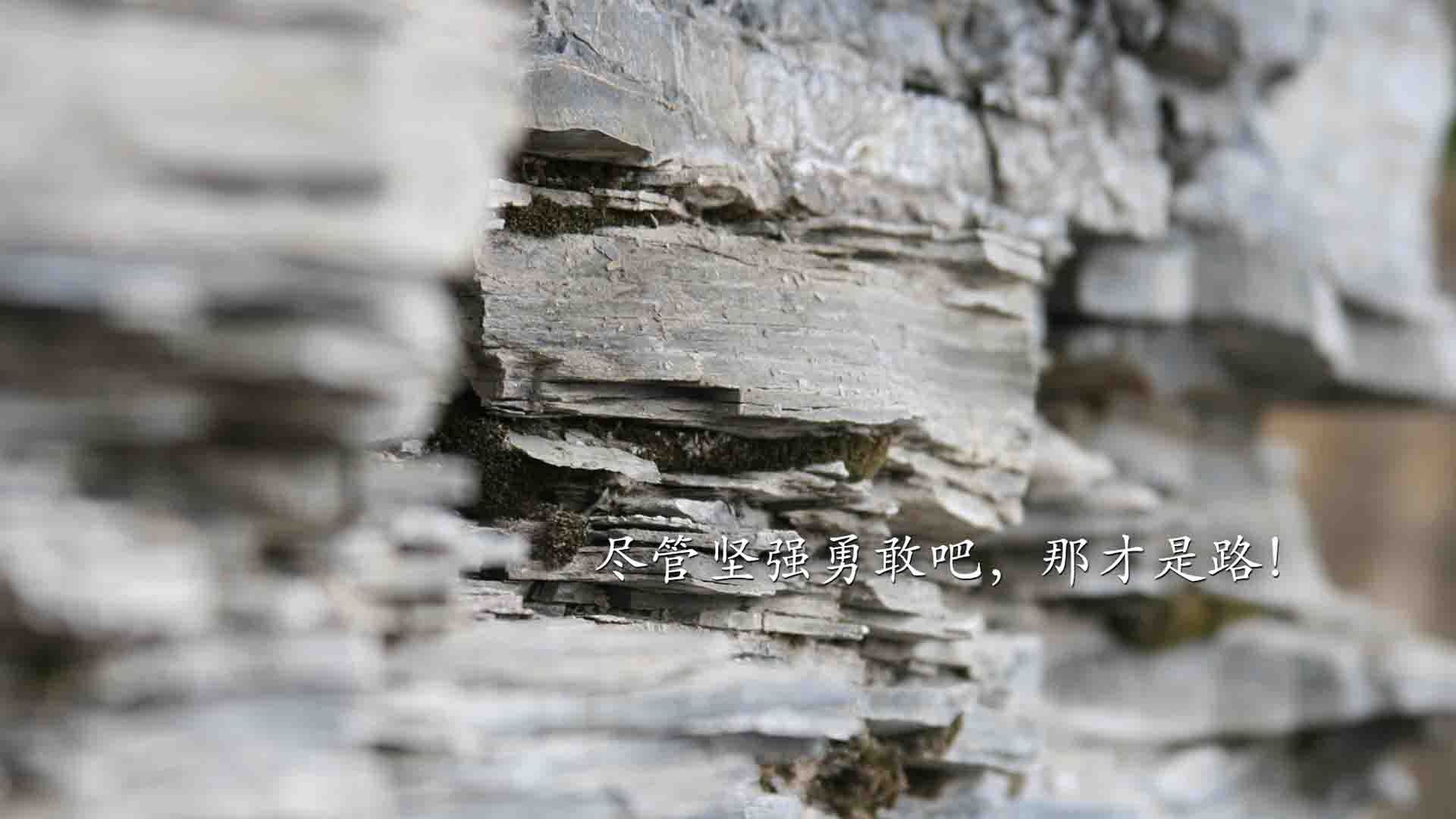 开云体育APP下载-临界点，破茧之夜与一次飞翔的纪元更迭