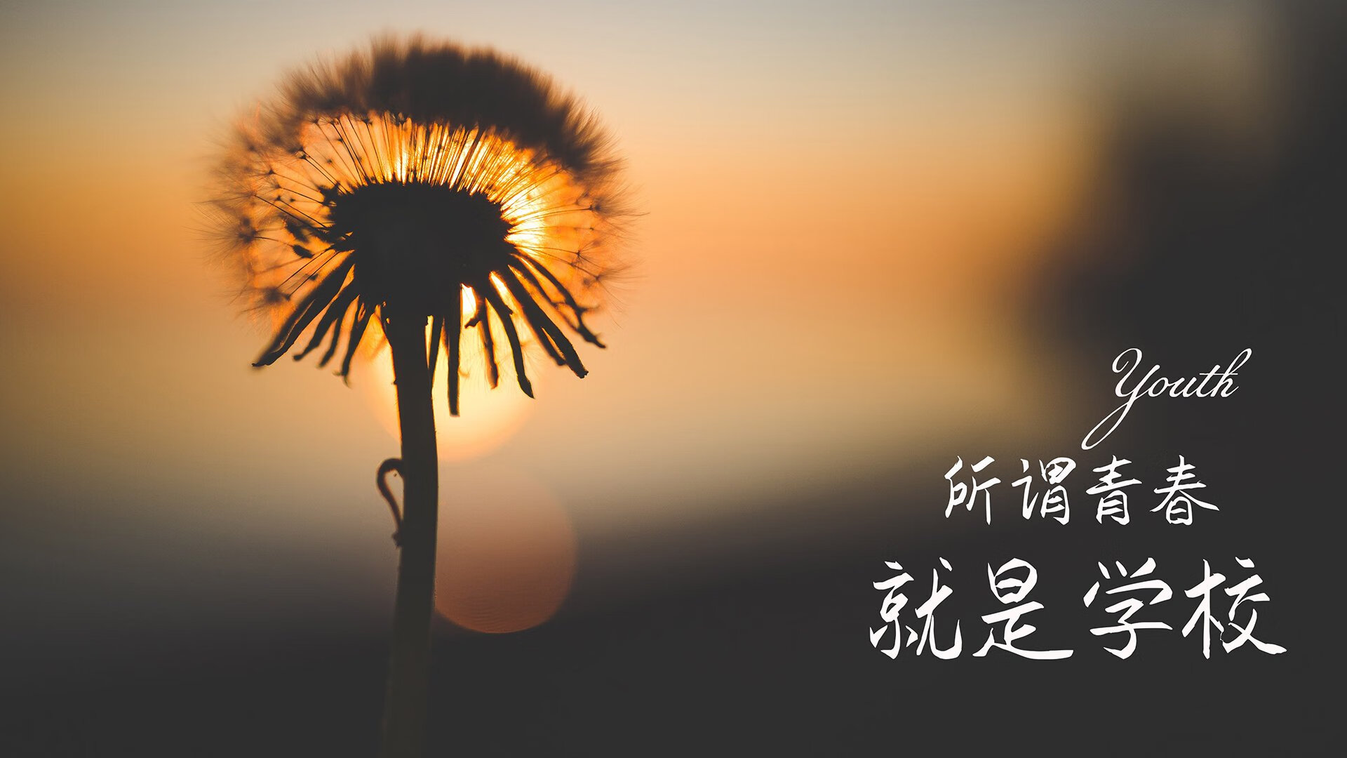 双重终结，赖斯的新生与马赛的冷刃