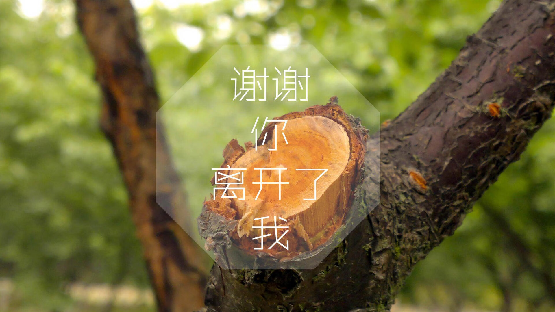 开云体育app-F组惊天逆转！乌拉圭绝地反击击沉西班牙，托纳利独造三球仍成悲情英雄
